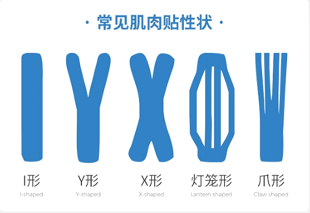 微信截图_20250423135824.png
